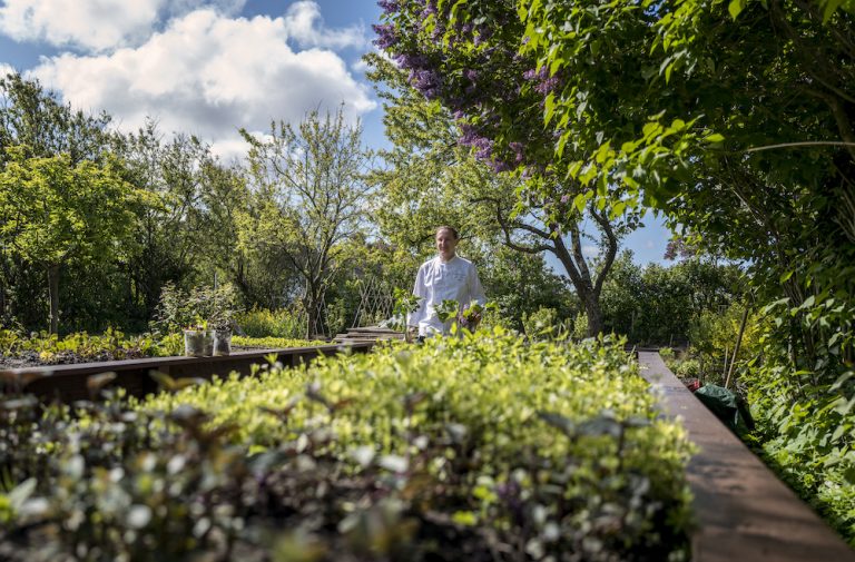 Guide Michelin Restaurant | Grüner Stern für den Söl'ring Hof